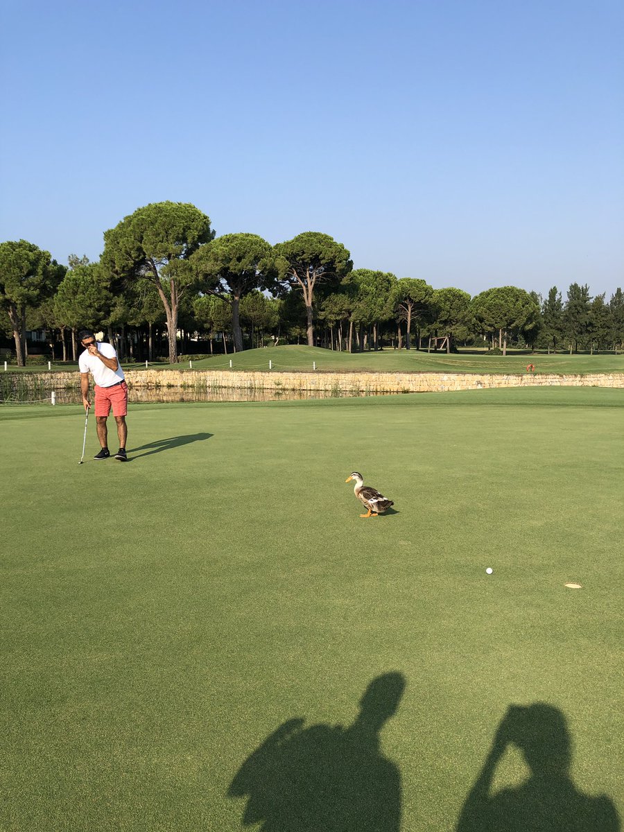 YGTRory's tweet photo. Vastly underrated course at Kaya Belek. Defo worth considering if you’re heading to Turkey. 😘👌 #RorsOnTours #YGTTurkeyTour #ArmyMember https://t.co/4asRxf3vac