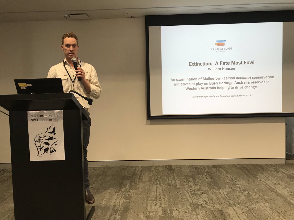 RichardMcLellan's tweet photo. Malleefowl conservation a priority species for @BushHeritageAus at Charles Darwin Reserve - @WillHansenBHA presenting at the 2019 WA Threatened Species Forum. #TSforumWA https://t.co/SznmjESGs8