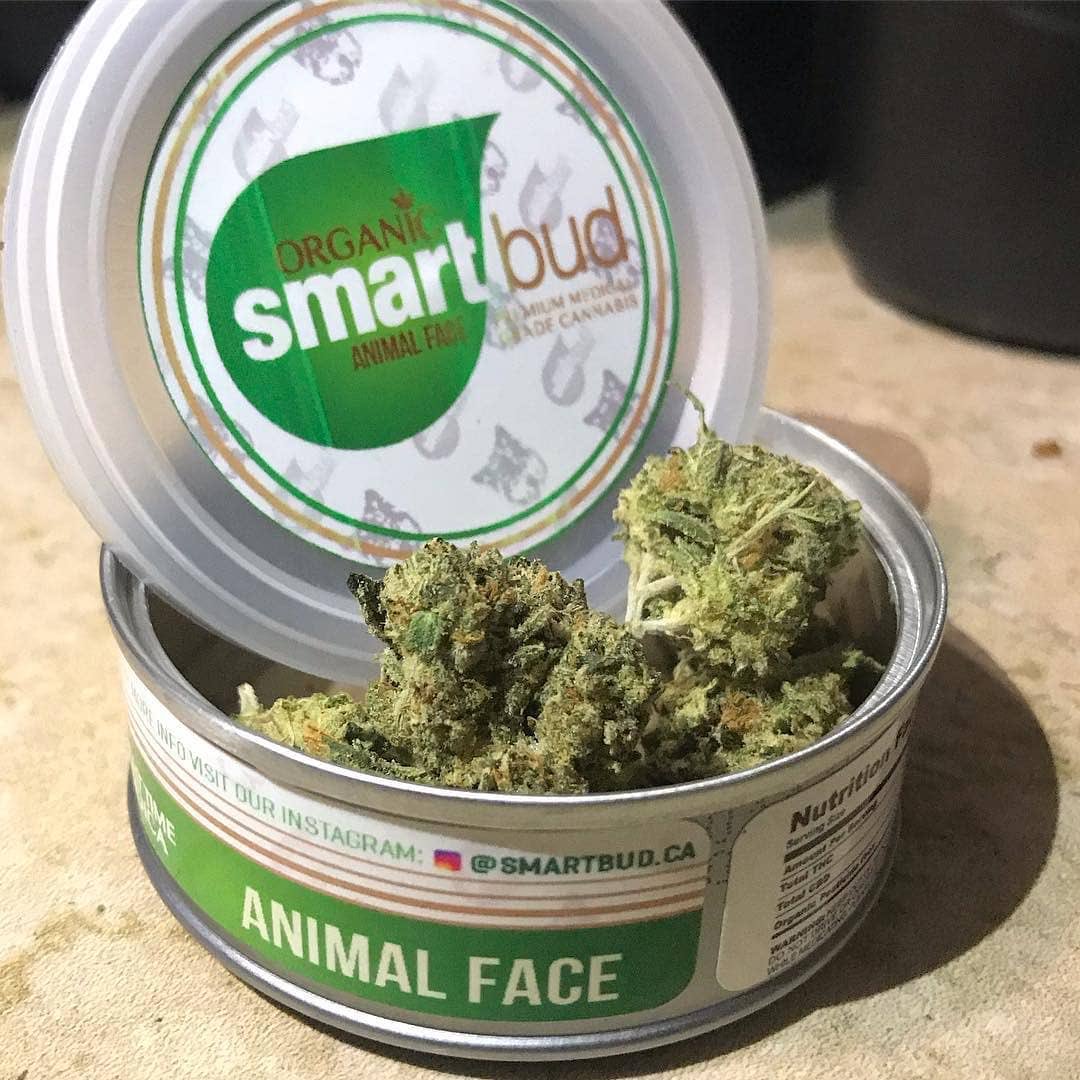 HeyesMendez's tweet photo. Contact me on
Wickr: calikush140
WhatsApp:+1(410)231-3786
#weaponcollector #vapepen #brassknuckle #cookies #cannabisoil #hashoil #cbdcartridge #budgetdistillate #antiquecollector #ironfist #antiquecollecting #antiquearms #crude #ironknuckle #clarion #selectvape #ricain #stizzy https://t.co/QAGV4C5JpI