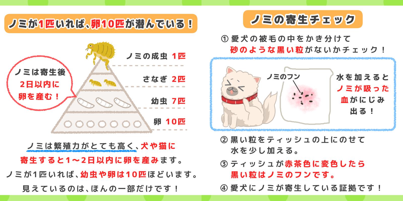 ノミ対策 Twitter 搜尋 Twitter
