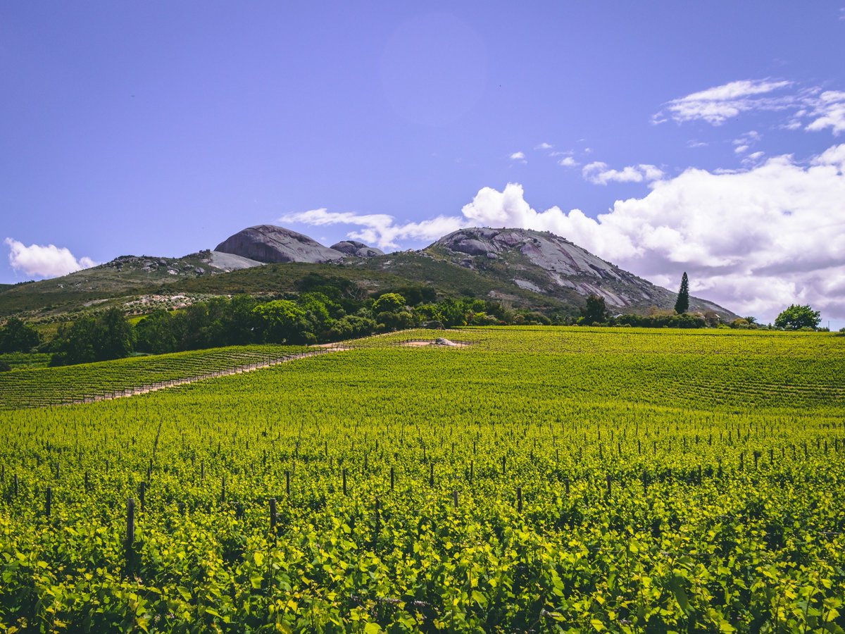 visitpaarl's tweet photo. Experience Paarl during Tourism Month without having to break the bank. Read more about our affordable options available for visiting tourists and locals in our blog https://t.co/nKX19vZbHU. #visitpaarl https://t.co/LJVMKBxIpx