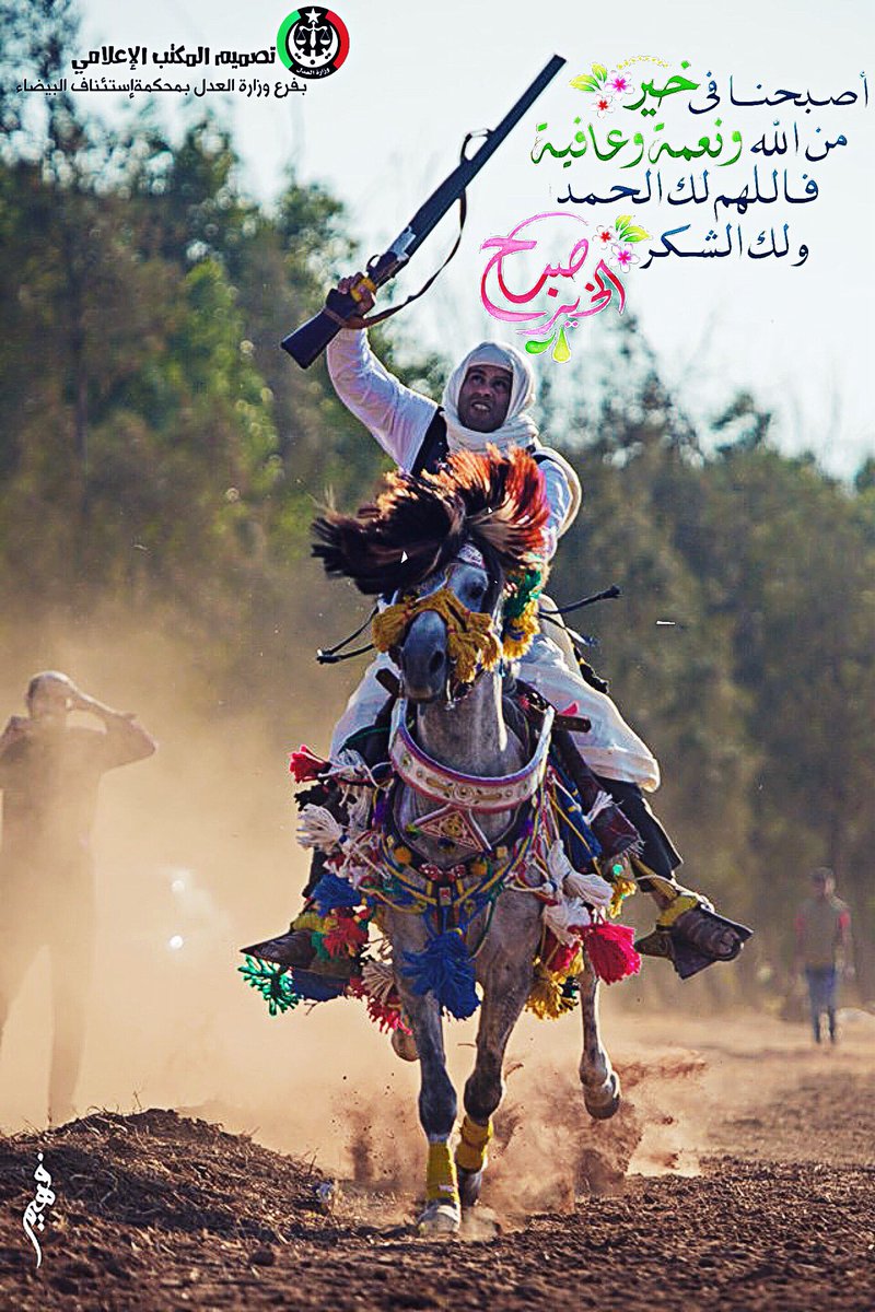 Aladelelbayda tweet picture