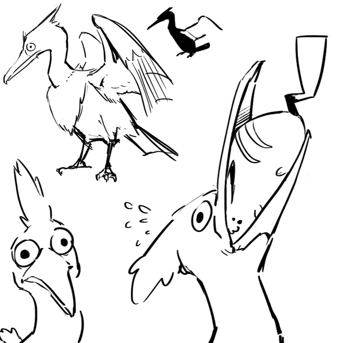 just some scribbles of new bird 