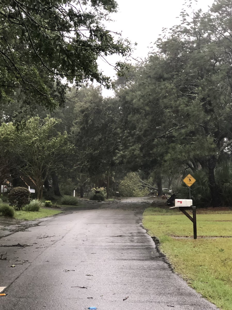 Downed tree at 40th Ave and Hartnett. Please stay indoors. It is not safe to go out!