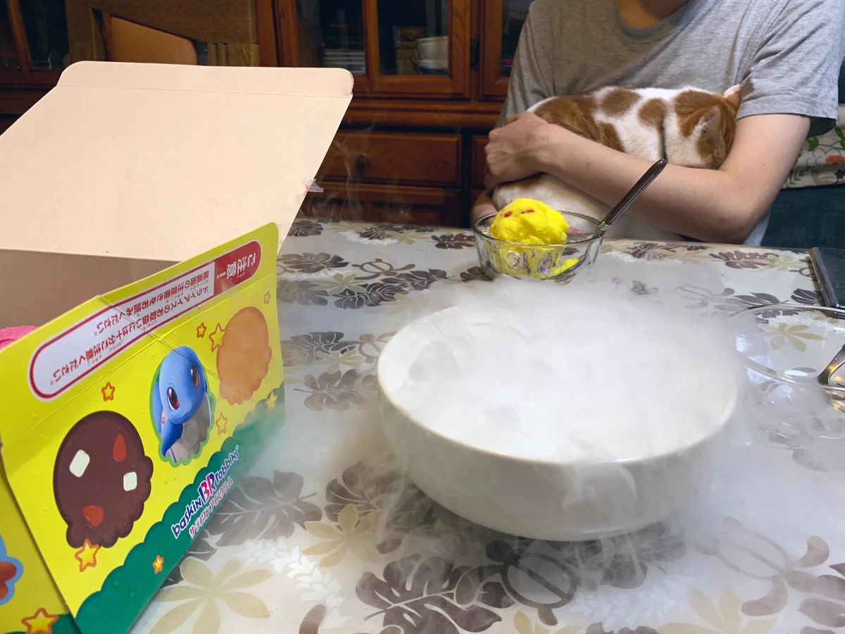 あるものにびびる猫www怖がり方が可愛すぎると話題ww慰めてあげたいww