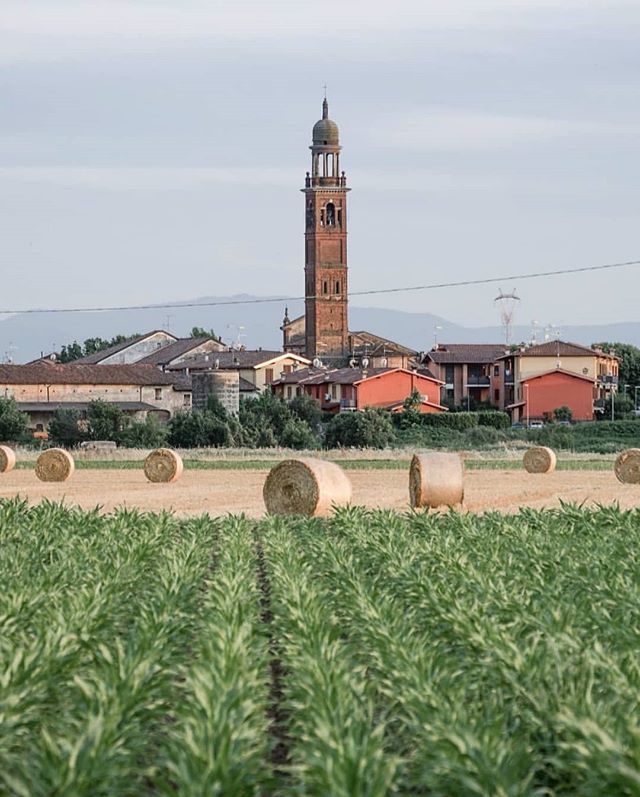 Le nostre campagne sono così: paesini da una manciata di case, campanili che svettano nella pianura e campi di balle di fieno. Come possiamo non sentirci a casa? 🌾

Foto di @cladipo

#igerscremona #igerslombardia #weareigersit #instagramersitalia #in… ift.tt/2LvEZeb