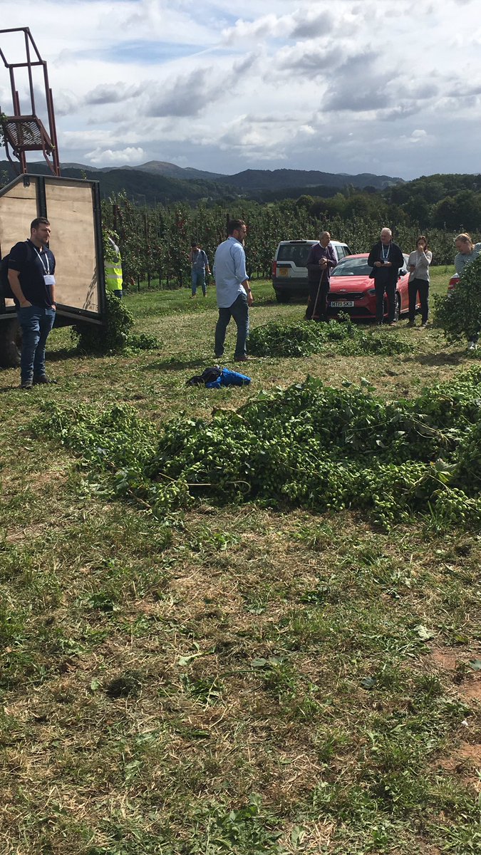 Getting ready for the hop walk! <a href="/CharlesFaram/">Charles Faram</a>