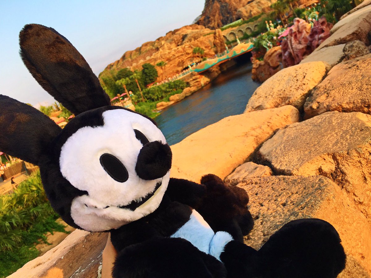 hetaro_D's tweet photo. オズワルドスクリーンデビューおめでとう！君がケープコッドに戻ってくるのをずっと待ってるから早く帰って来るんだよ〜！！😆 #オズワルド #オズワルドスクリーンデビュー https://t.co/DGT4z5kCGH
