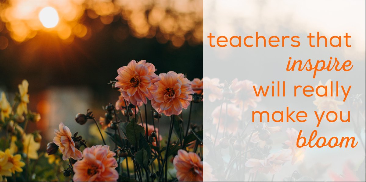 Edvergent Learning tweet media