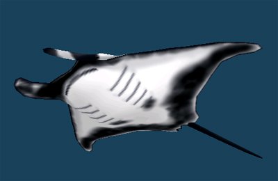 イトマキエイのtwitterイラスト検索結果 古い順