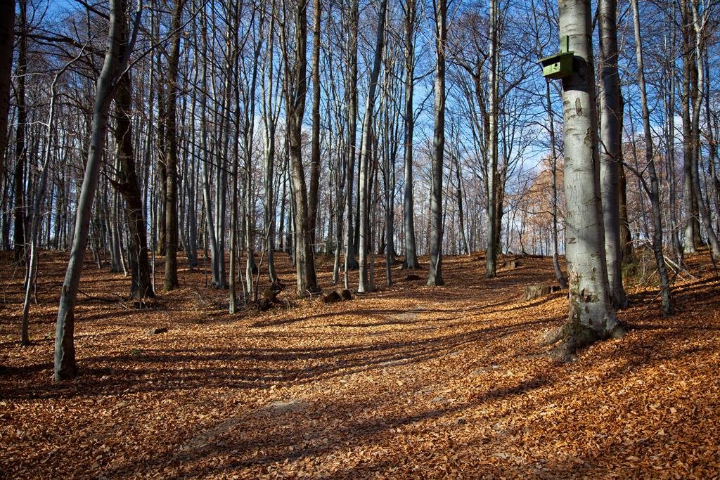 ⛰ The Medvednica Transversal is the main and longest hiking trail on Medvednica, as it connects its two ends.

⏱ It will take you between 15 and 20 hours of usual walking to win this trail.

On which trail on Medvednica do you enjoy hiking the most?😃

#Medvednica #Hiking