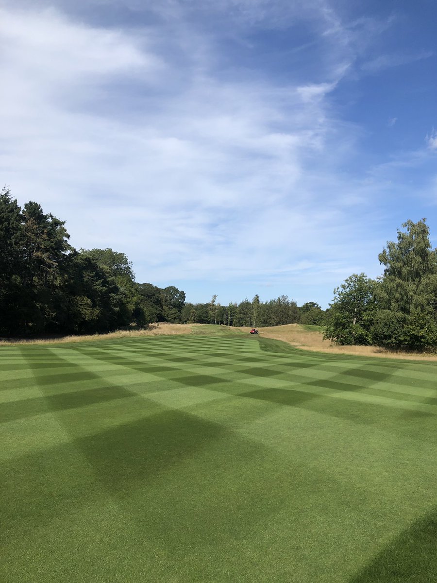 Strudlight's tweet image. Will never get bored of cutting these fairways.