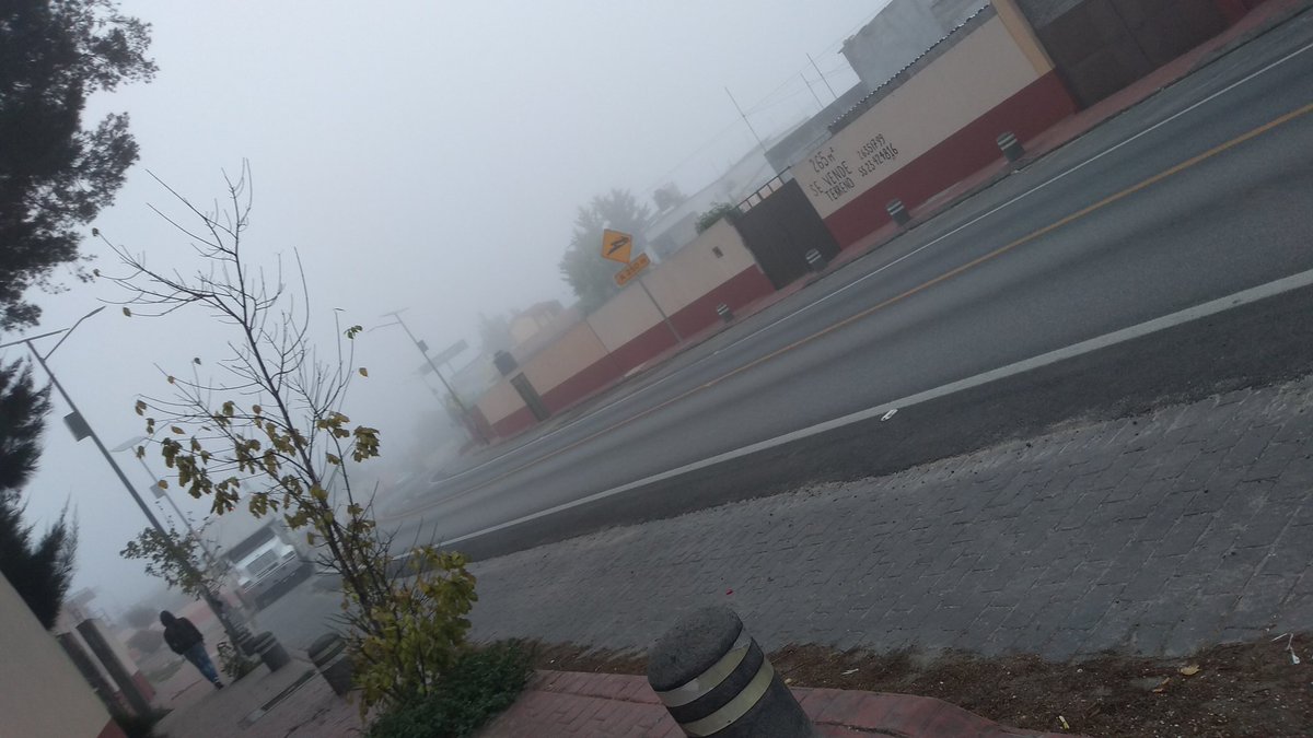 Chica neblina v:
