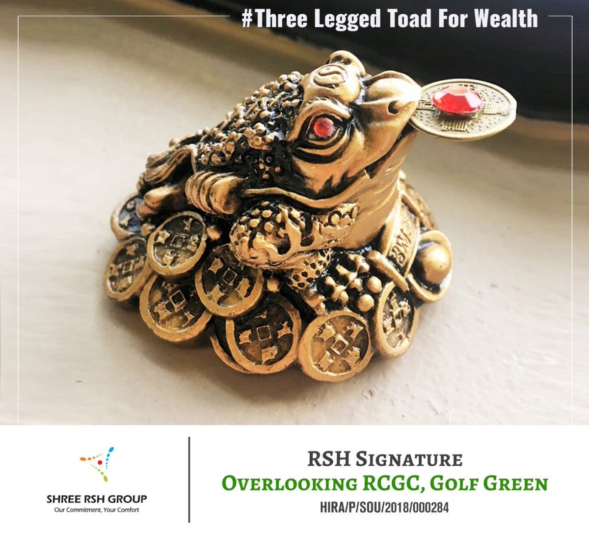 #FengShuiTip | Keep a three-legged toad inside your house - under the sofa or chair. Display this creature wherever you want wealth to find you. 

#ShreeRSHGroup #RSHSignature #FengShui #Wealth #ThreeLeggedToad #Prosperity #FlatsInSouthKolkata #LuxuryApartments #Gym #Workout