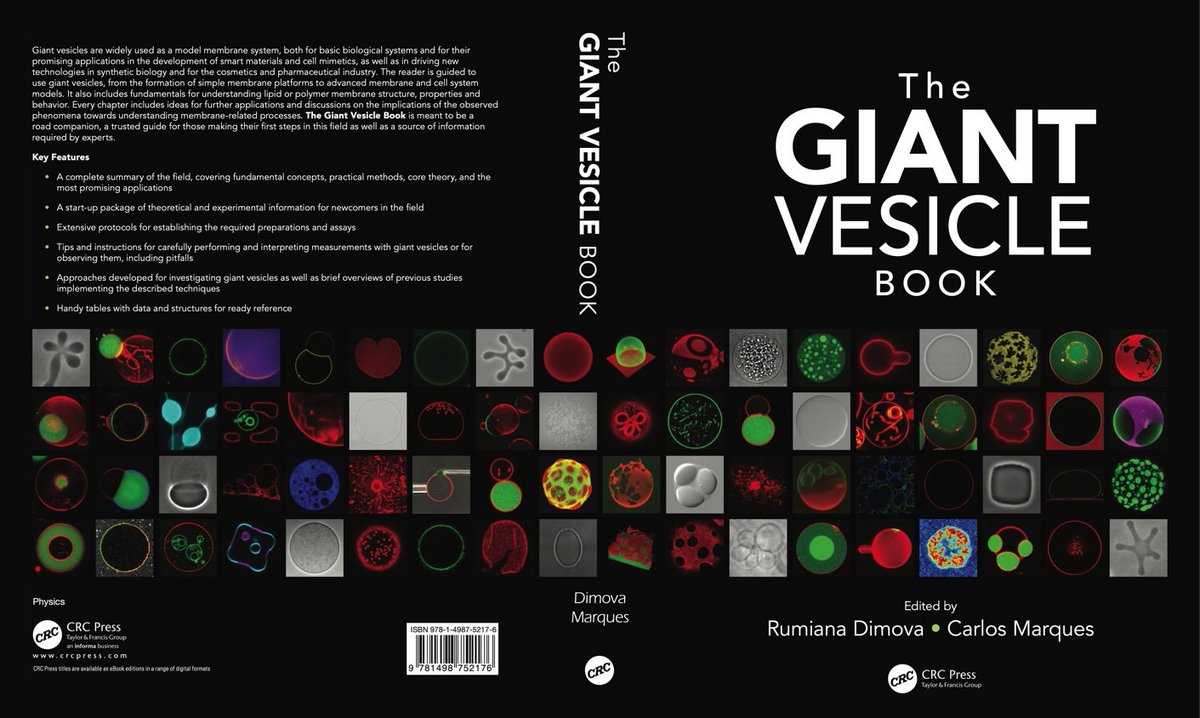 dasKK4's tweet photo. Co-authored a Book chapter "Lipid and Protein mobility in GUVs" in "The Giant Vesicle Book" together with Begoña Ugarte Uribe and Ana García Sáez @GarciaSaez_Lab.
Thanks to @DimovaLab @MarquesLab
A great Cover photo :-)
#giantvesicles #modelmembrane #membranemanipulation https://t.co/aZIzqi8ni8