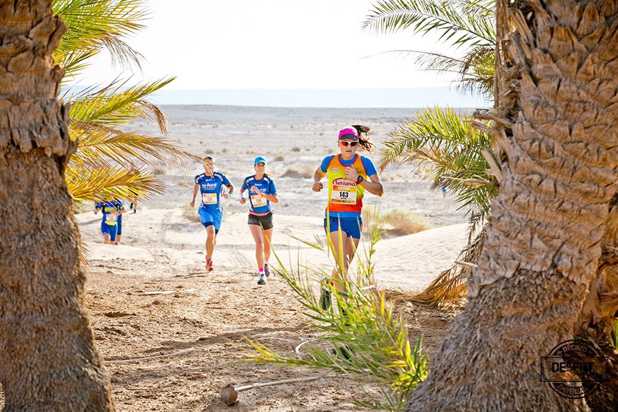 Desert Run tweet media