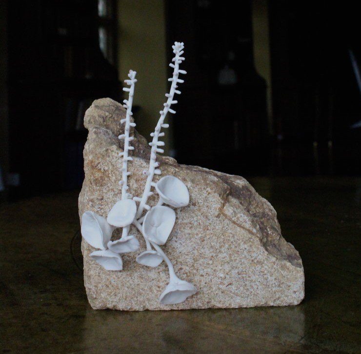 #KatieSpragg is one of our Ceramics Prize nominees: her practice advocates the simple pleasure of being outside in nature: “I’m interested in the way that humans &amp; plants co-exist’. Katie’s work combines clay with animation, illustration &amp; installation. ow.ly/Ip2M50vXNkD