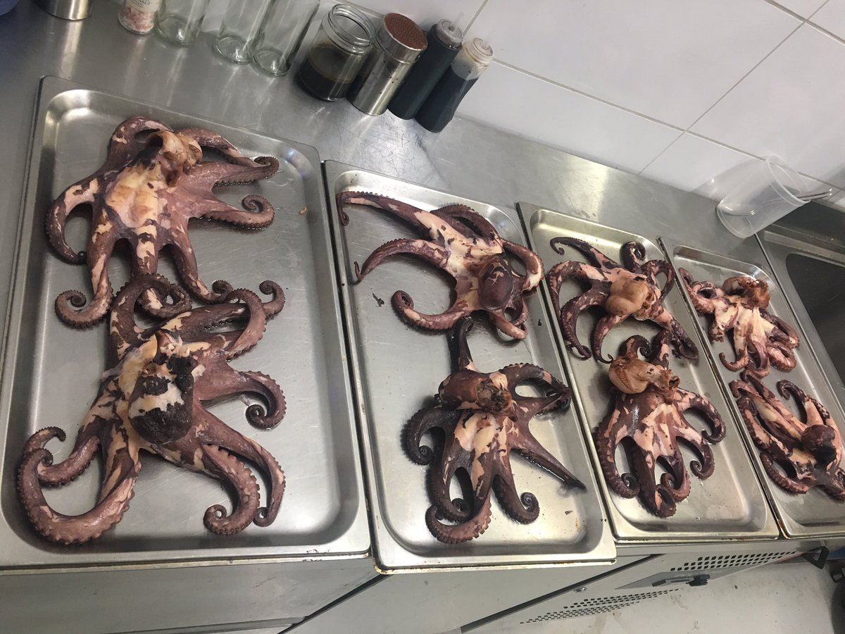 Ghisallo_Vienna's tweet photo. Mare, Mare, Mare! Octopus Time im ghisallo. Fresh today! #restaurant #vienna #bestintown #lunch #mittagessen #gourmet #freshfood #mittagessenheute  #foodporn #wienwieesisst #vienna #viennatourism #octopus #seafood #seafoodvienna https://t.co/podHcRqHtG