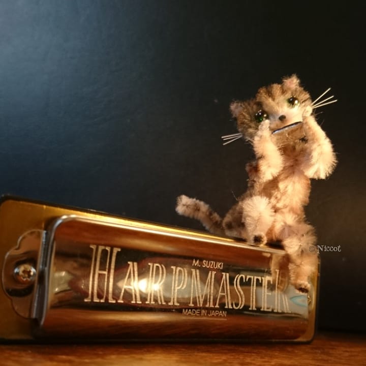 niccot3's tweet photo. ブルースハープ。好きなあのこに聴かせたいにゃ。

#bluesharp #harpmaster #harmonica #tabbycat   #ブルースハープ #ハーモニカ #きじとらねこ https://t.co/zHRoJGNp2L