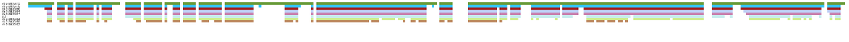 jervenbolleman's tweet photo. Playing around a bit more with an alignment view idea at #biohack19 #GraphGenomes https://t.co/rOS196DjhC