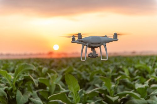 RadleianSociety's tweet photo. A call for speakers for the next #RadleyForLife event!

Environmental sustainability in business: How can technology help you to respond?

Any #ORs or @RadleyCollege parents who would like to be a panelist, please email us on radsoc@radley.org.uk

#RadleyPeople #RadleyPurpose https://t.co/BisqcyRFAg
