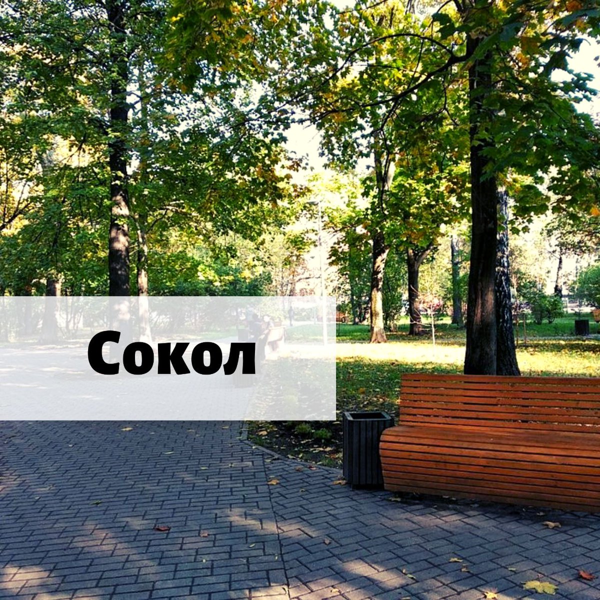 Уважаемые жители района Сокол! Сегодня состоится встреча в вашем районе. С 18:00 до 19:00 пройдем по маршруту, а в 19:00 встретимся по адресу: Дубосековская улица, дом 3.