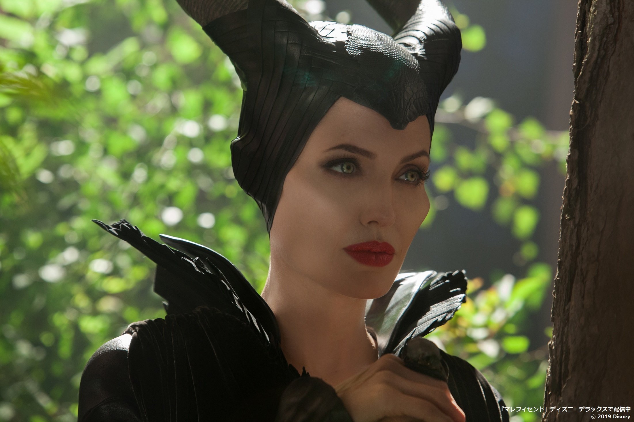 MALEFICENT 眠れる森の美女 オーロラ姫 極まる MALEFICENT 眠れる森の美女 オーロラ姫 極まる