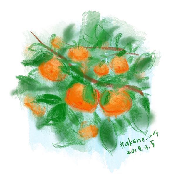 Akane Art Persimmon 柿 柿の木 果樹園 フルーツ Fruits Orchard Akane Art イラスト Illustration Drawing Art Painting Procreate 一日一絵 Onesktchaday Onedrawingaday 365drawings T Co Onrmd6tnli T Co