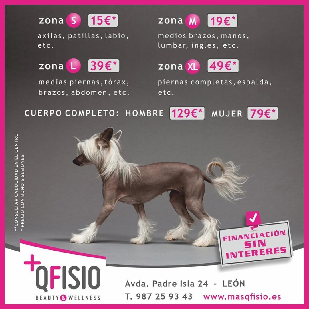 ¡¡𝐃𝐢 𝐚𝐝𝐢𝐨́𝐬 𝐚 𝐥𝐨𝐬 𝐩𝐞𝐥𝐨𝐬!!
⋆⋆⋆ 𝐁𝐎𝐍𝐎𝐒 𝐋𝐀𝐒𝐄𝐑 ⋆⋆⋆
Consulta nuestra PROMOCIÓN LANZAMIENTO y benefíciate de nuestras condiciones de FINANCIACIÓN SIN INTERESES en todos los tratamientos.
☎️ 987 25 93 43

#MasQFisio #Leonesp #DepilaciónLáser #NiUnPeloDeMás