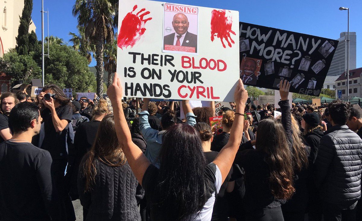 News24 🇿🇦 tweet media