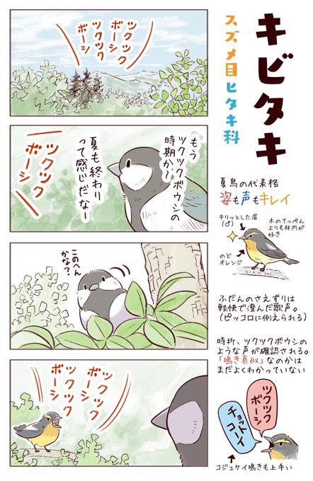 わいるどらいふっ！第146～148種
鳥もマネする「虫」の歌とは…？ 