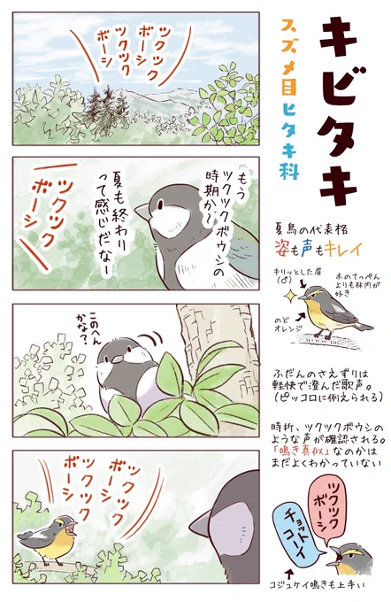 わいるどらいふっ！第146～148種
鳥もマネする「虫」の歌とは…？ 