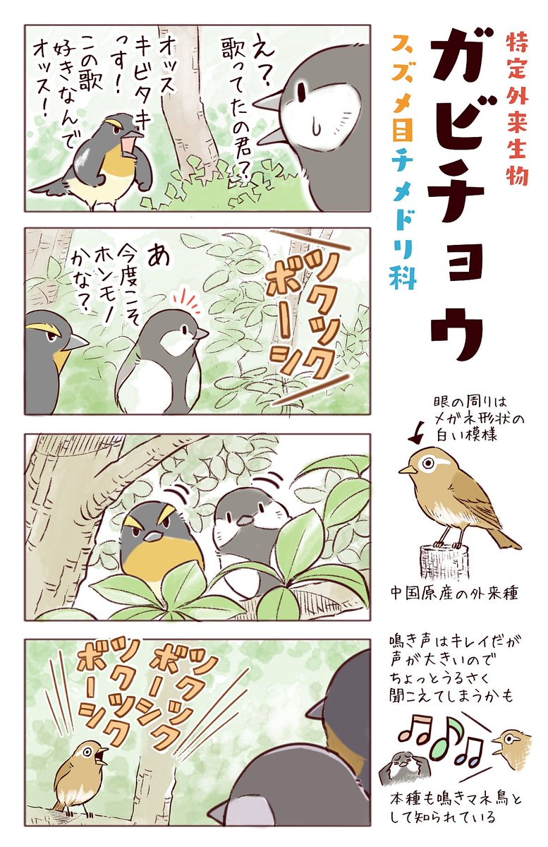 わいるどらいふっ！第146～148種
鳥もマネする「虫」の歌とは…？ 