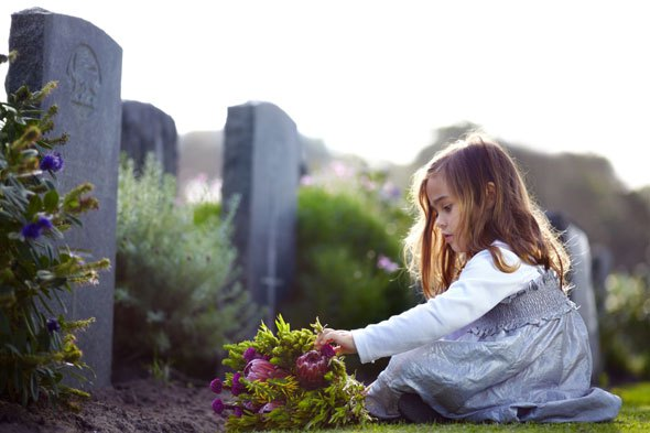 Les Enfants Orphelins :
Des enfants "invisibles pour la société".
Que sait-on aujourd'hui des orphelins? Leurs difficultés, leur réussite sociale, leur relation à la famille, aux amis ... Leur Souffrance 😭😢
👉Faire un Don Libre: lenfantfleur.org/donation