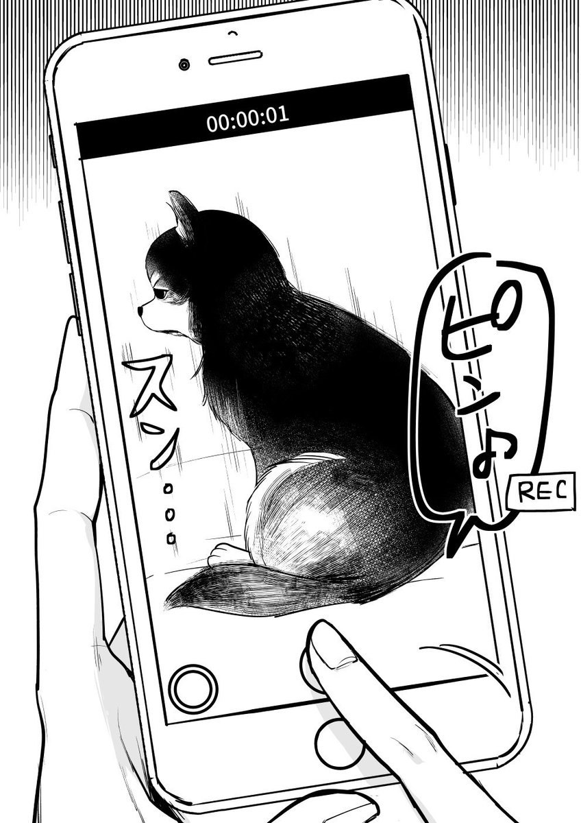 犬飼いあるある（多分） 