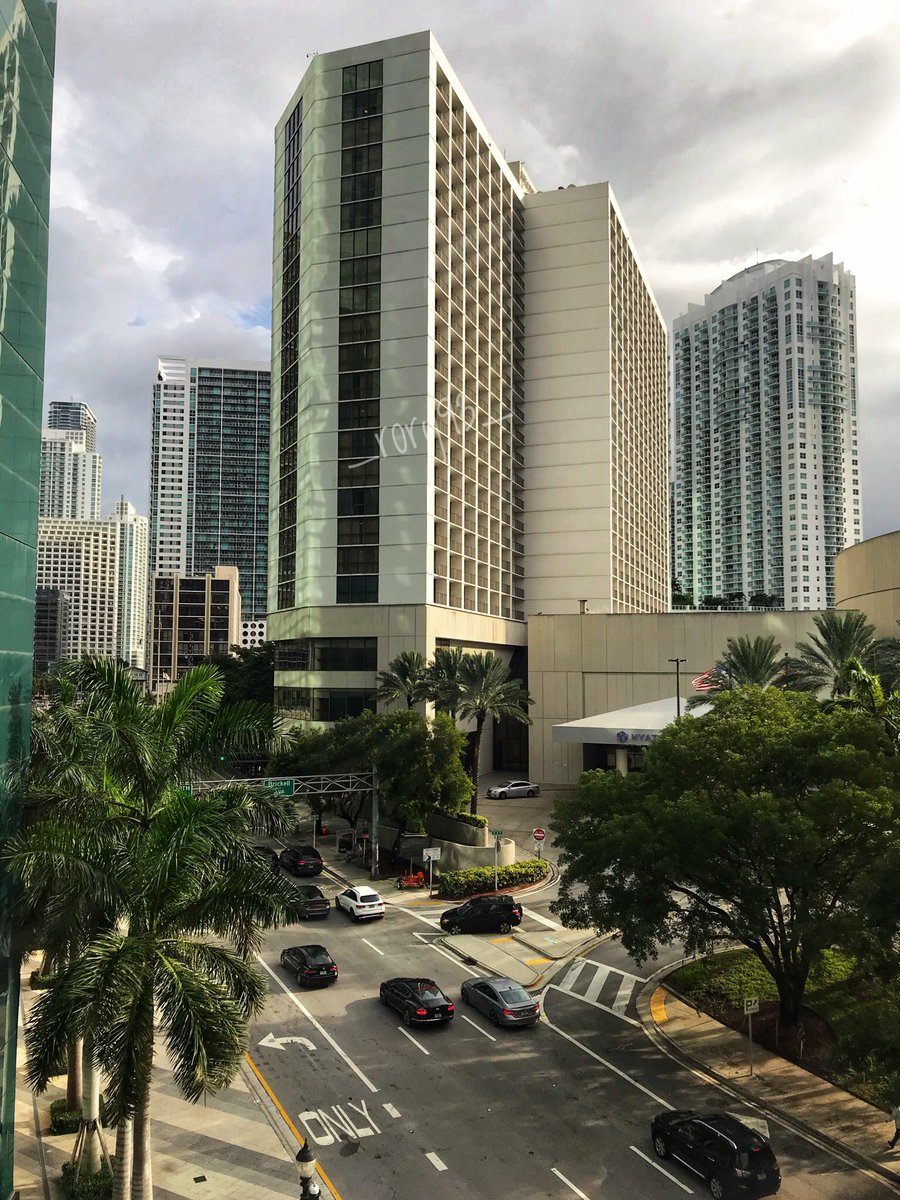 _rory93's tweet photo. Which street of Miami Downtown could this be? 📸🌴 #miamidowntown https://t.co/HzXl8LeSIC