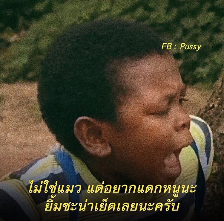 สิบนิ้ว tweet media
