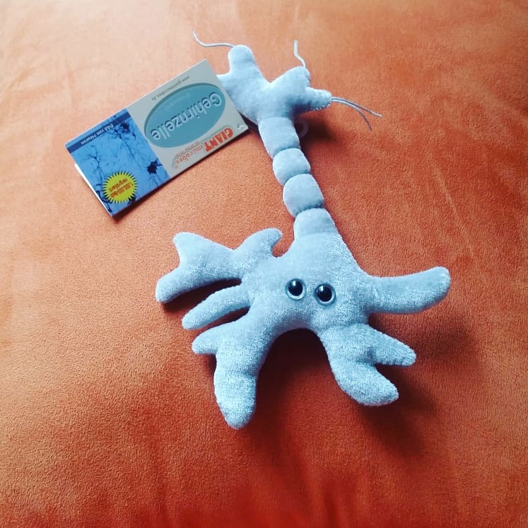 The #alpinemeetup in munich was great!🙌 
Thanks to <a href="/iGEM_Munich/">iGEM Munich</a> for organizing, the talks were really interesting, the workshops very cool (especially the games because we won them :P slide to see our nice price, the neuron) and the food was delicious! 😍

#meetup #igem