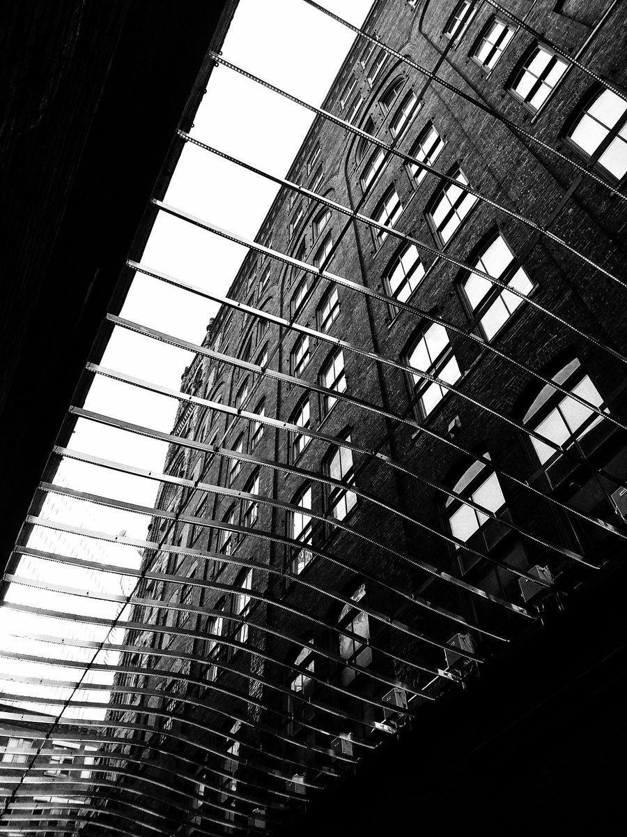 kimrullo's tweet image. For Nili on her birthday

 #pittsburgharchitecture #composite #photography #bnw_rose #bnw_photography #birthdayart2019 #bnw_greatshots