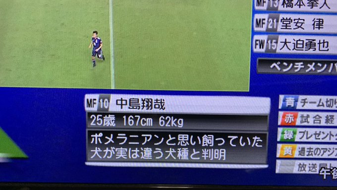 ぉかむぅ さん の人気ツイート 1 Whotwi グラフィカルtwitter分析