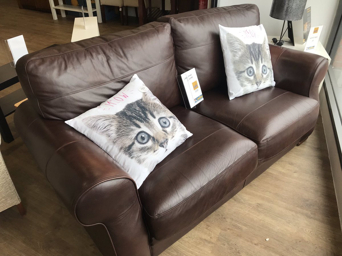 Cats Protection Crow Road tweet media