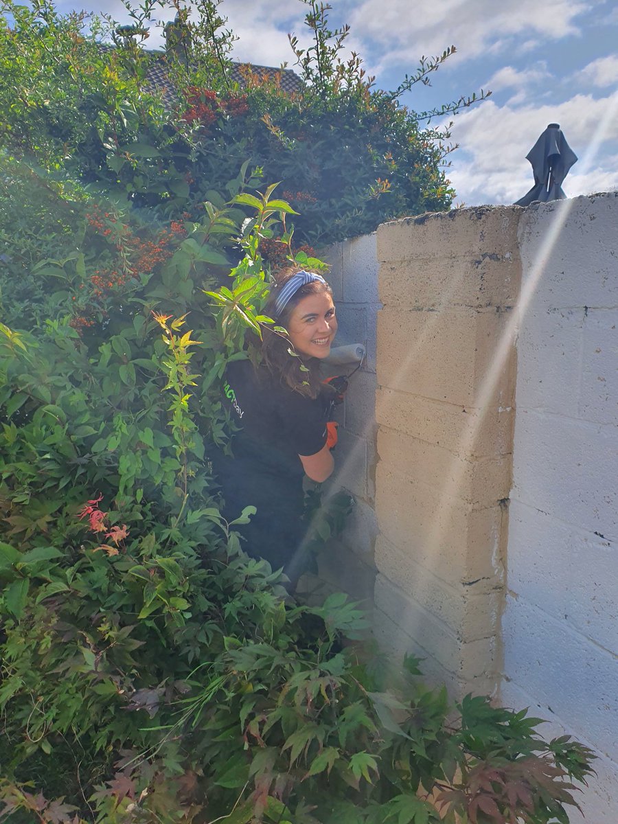 EMcCDeloitteIrl's tweet photo. Some stealth-painting from the team in Cheeverstown on #impactday with @DeloitteLifeIrl https://t.co/77tN9zejeV