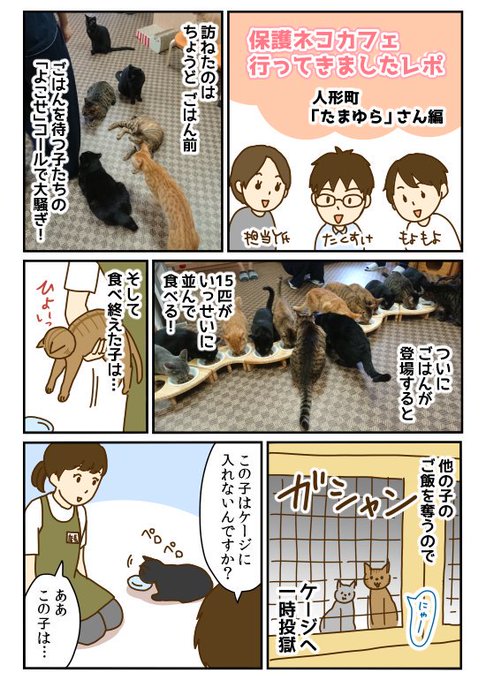 保護猫カフェ を含むマンガ一覧 リツイート順 ツイコミ 仮