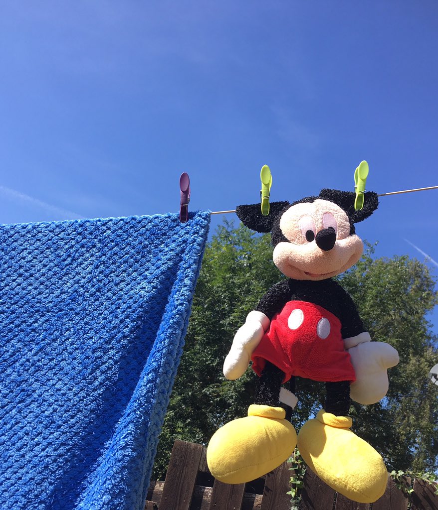 annmarielawson1's tweet image. Hey Mickey, you just hang about in the sunshine and you’ll feel better for it, I will be back from #physio soon and we can hang out together 🥰 #bluesky #washingline #MickeyMouse