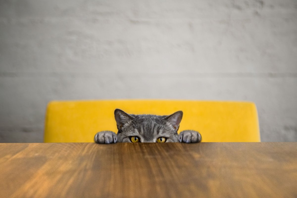 TopMoveLTD's tweet photo. Curious as to how much your property is worth in the current market? Get yourself a valuation in an instant with our handy tool. ๐โจ https://t.co/v2vA2kPTna Quotes for both Sales & Lettings given. #HowMuchIsMyHomeWorth #PropertyValue #PropertyValuation #TopMoveLTD https://t.co/aWpBN4GqD6