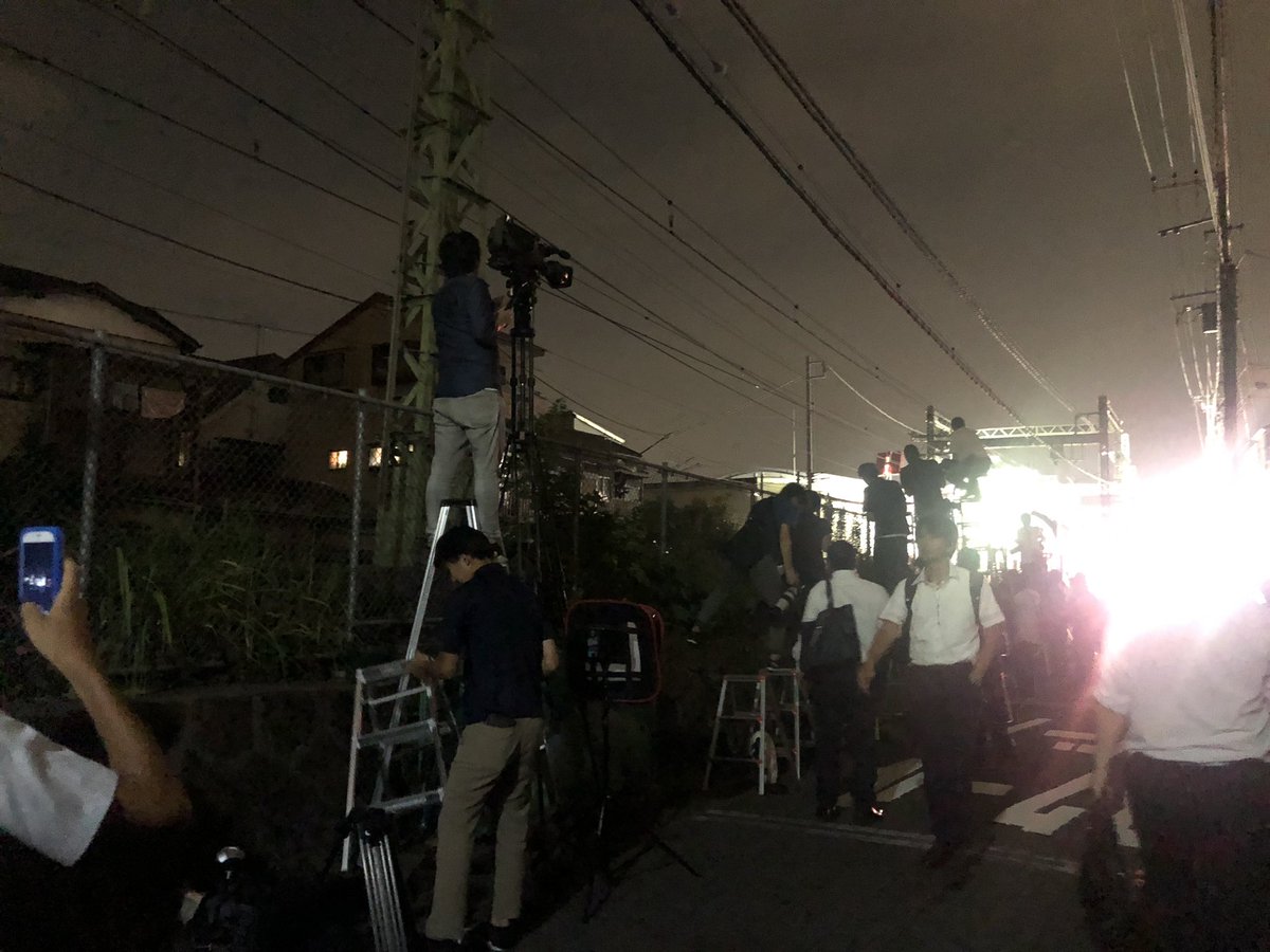 miti hydrangea tweet media