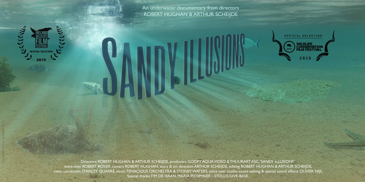 HaagseNatuur's tweet photo. -OFFICIAL SELECTION- #SandyIllusions @ Wildlife Conservation film festival #NewYork
@duikeninbeeld @Duikenredactie @spain @SpanjeNederland @CostabravaToday @costabravacom @Spanjevandaag @ErnstWaterWerel @Duikersgids @SSP_Starsound Stollis divebase ... https://t.co/vxhTKb9j4B