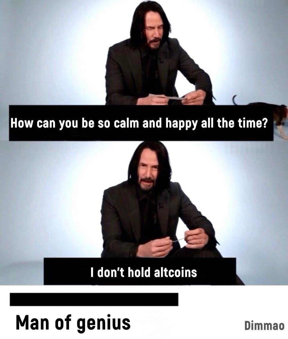 dritrish's tweet image. #ALTSEASON Is near 🤣