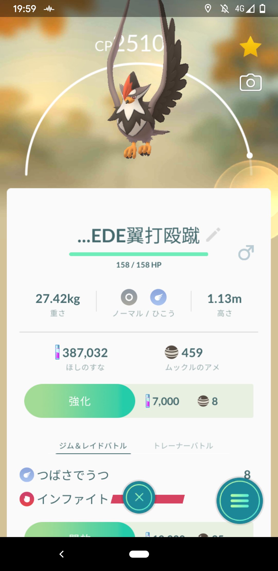 まさ ポケモンgo ムクホーク 技構成は つばさでうつ インファイト ジムの防衛をさせると長時間粘ってくれます オススメのまま戦うトレーナーのボスゴドラやバンギラスを返り討ちにしてるのかも こういう発見って楽しいよね ポケモンgo