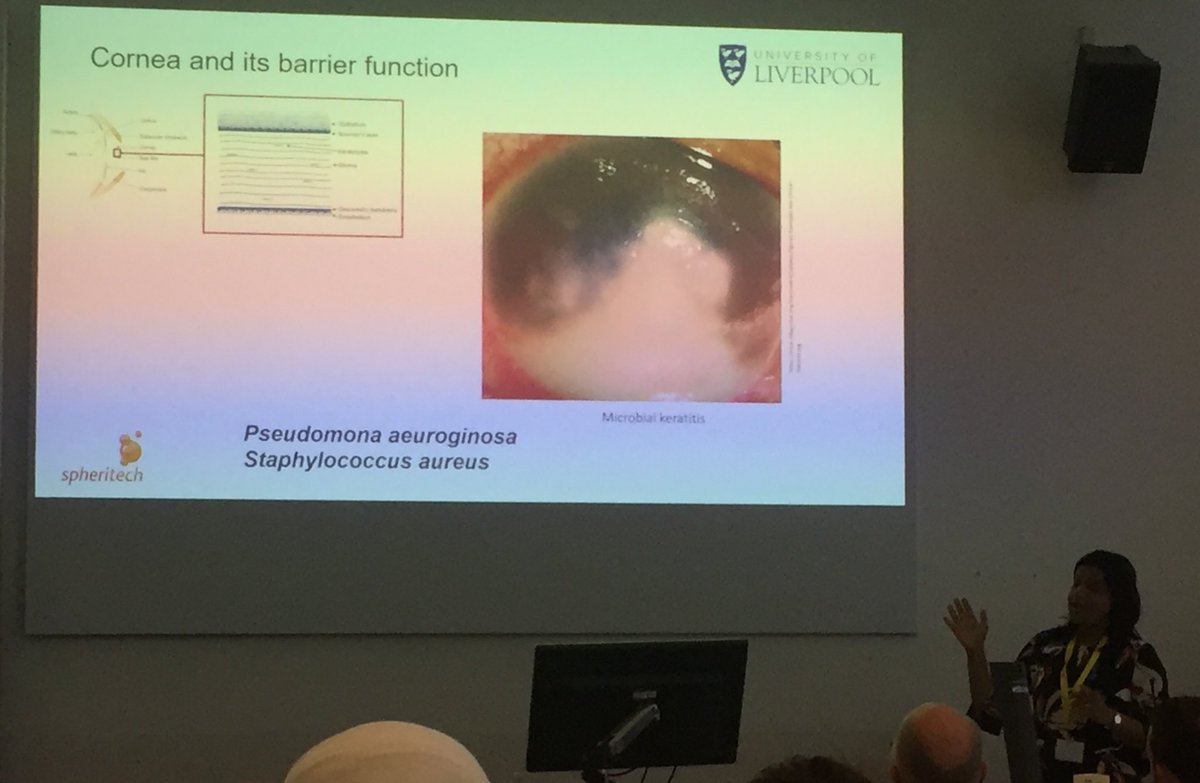 lucyabosworth's tweet photo. Fab talk from @PDeshpandePhD speaking at #BioMedEng19 highlighting the important development of antimicrobial contact lenses. Excellent picture just before lunch π @livuniAgeing @LivOphth https://t.co/hTDhMre7Im